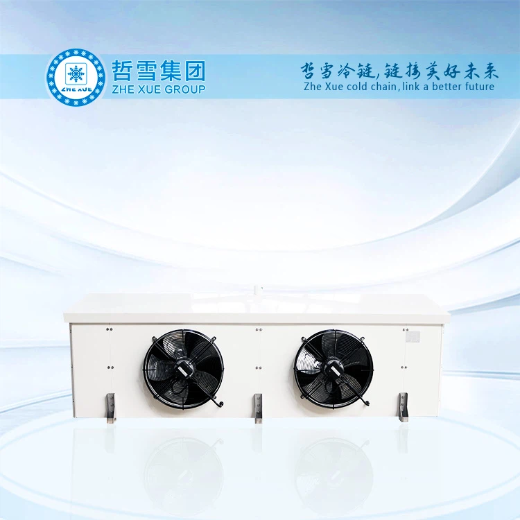 مبخر منخفض الضوضاء مثبت على السقف