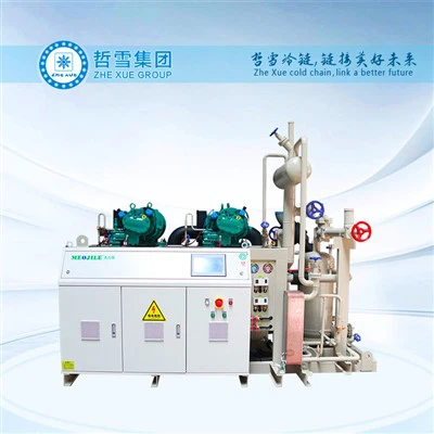 وحدة تكثيف صناعية مع رفوف ضاغط لولبي من شركة Bitzer